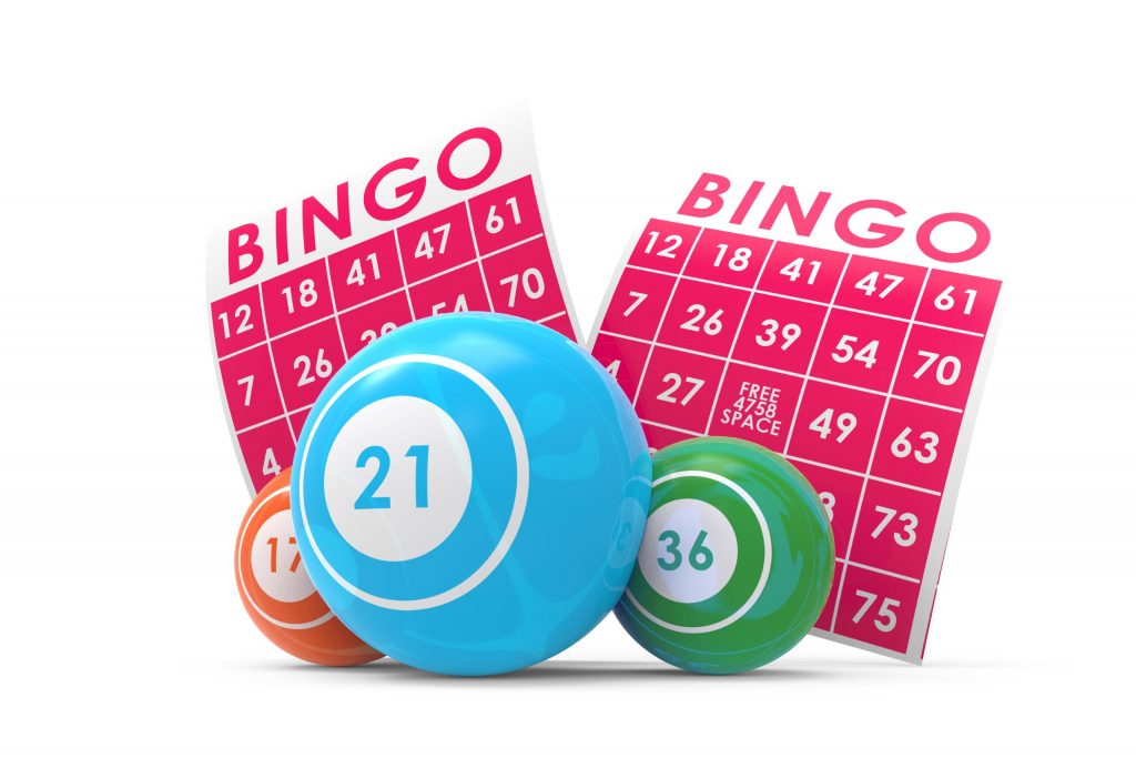 bingo app